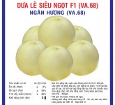 Dưa lê - Việt á Seeds - Công Ty TNHH Phát Triển Nông Nghiệp Việt Á
